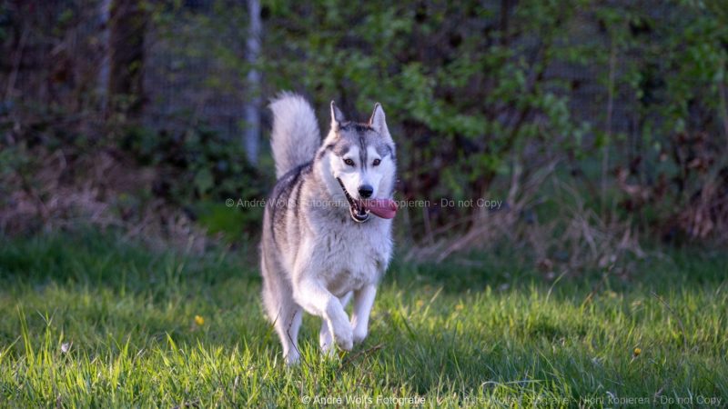 MG_3534-scaled