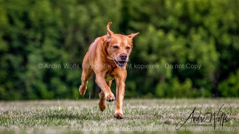 MG_4566