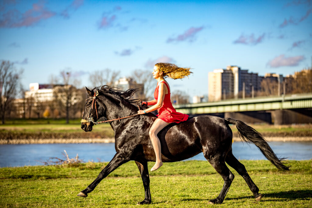 Pferdeshooting am Rheinufer - Fotoblog Mönchengladbach